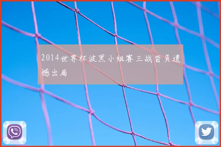 2014世界杯波黑小组赛三战皆负遗憾出局