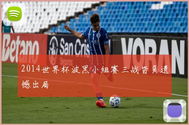2014世界杯波黑小组赛三战皆负遗憾出局