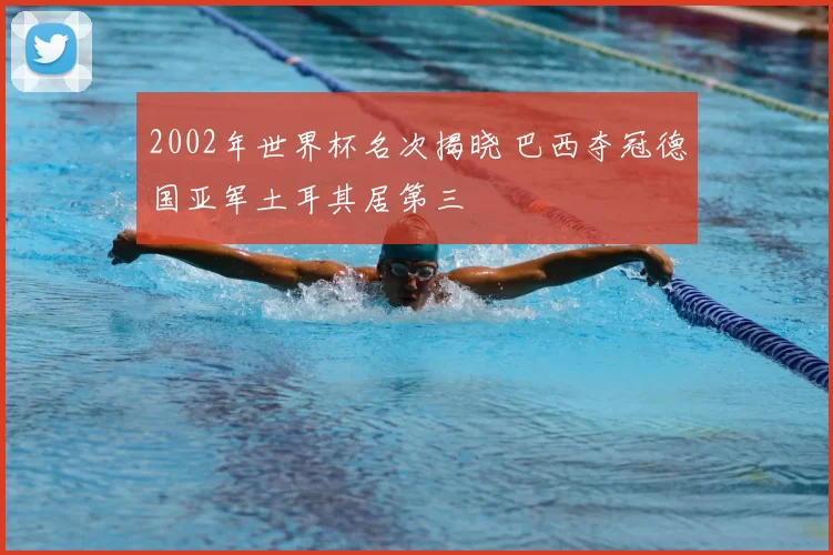 2002年世界杯名次揭晓 巴西夺冠德国亚军土耳其居第三