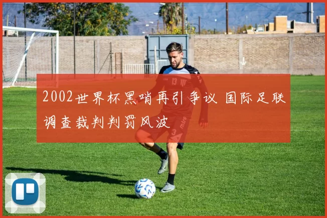 2002世界杯黑哨再引争议 国际足联调查裁判判罚风波
